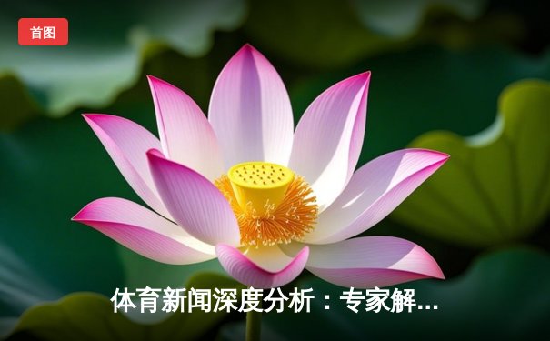 体育新闻深度分析：专家解读