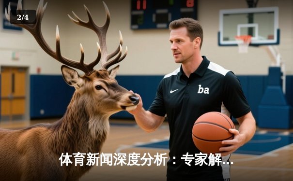 体育新闻深度分析：专家解读 - 2